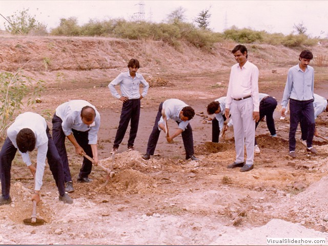 tree plantation at Lodha Site